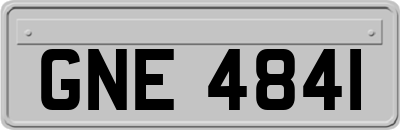 GNE4841