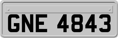 GNE4843