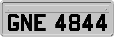 GNE4844