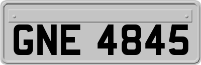 GNE4845