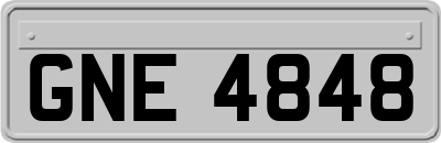 GNE4848