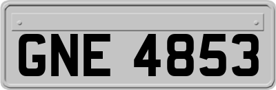 GNE4853