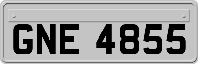 GNE4855
