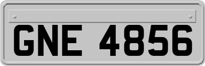 GNE4856