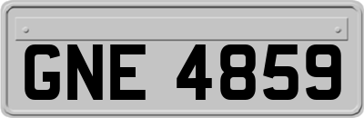 GNE4859