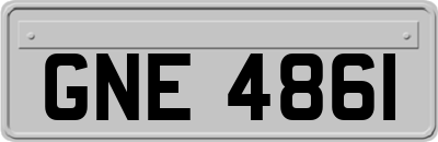 GNE4861