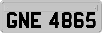 GNE4865