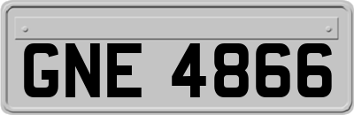 GNE4866