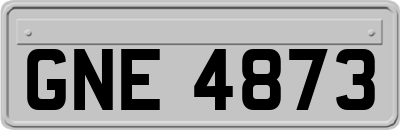 GNE4873