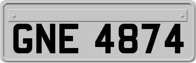 GNE4874
