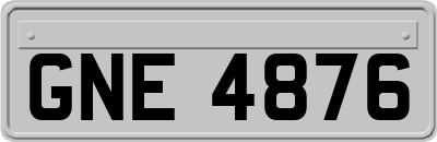 GNE4876