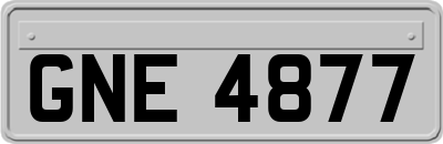 GNE4877