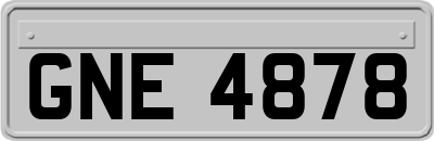 GNE4878