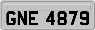 GNE4879