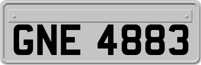 GNE4883
