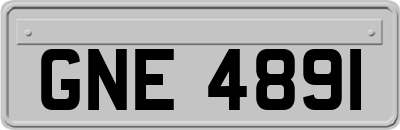 GNE4891