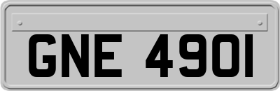 GNE4901