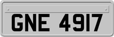 GNE4917