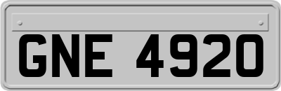 GNE4920