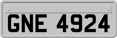 GNE4924