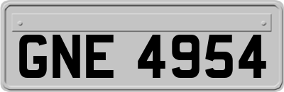 GNE4954
