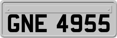 GNE4955