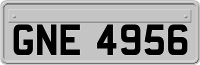 GNE4956