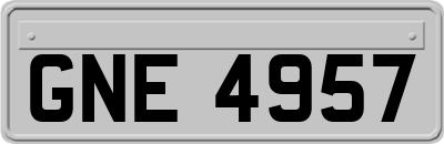 GNE4957