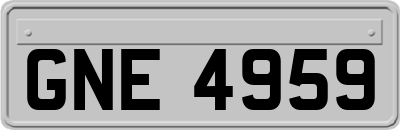 GNE4959