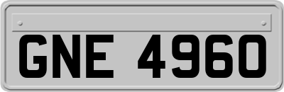 GNE4960