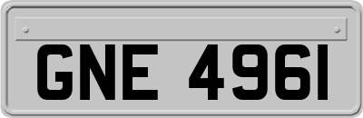 GNE4961