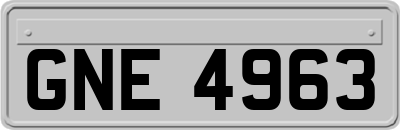 GNE4963