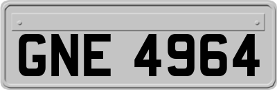 GNE4964