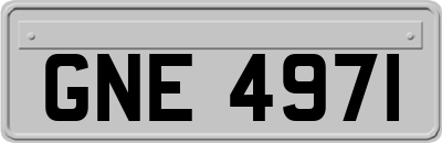 GNE4971