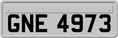 GNE4973
