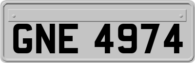 GNE4974