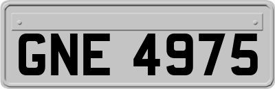 GNE4975