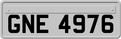 GNE4976