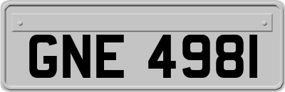 GNE4981