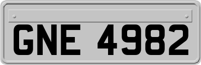 GNE4982