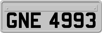 GNE4993
