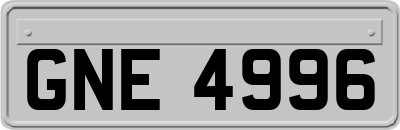 GNE4996