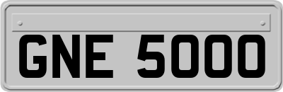 GNE5000
