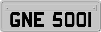 GNE5001