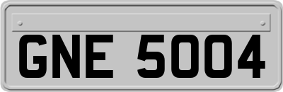 GNE5004