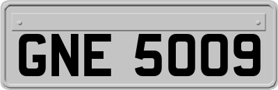 GNE5009