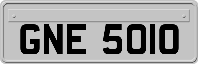 GNE5010