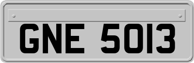 GNE5013