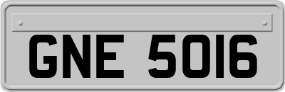 GNE5016