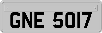 GNE5017